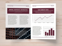 Bi-Fold Corporate Brochure Annual Report – A4 Screenshot 2