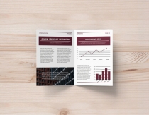 Bi-Fold Corporate Brochure Annual Report – A4 Screenshot 6