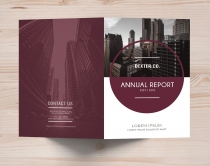 Bi-Fold Corporate Brochure Annual Report – A4 Screenshot 10