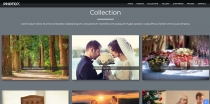 PhotoX - Professional Photography HTML Template  Screenshot 3