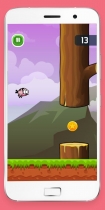 Flappy Bird Buildbox Project Screenshot 4