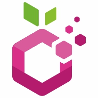 Digital Fruit Logo