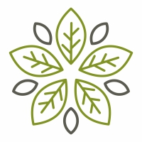 Star Leaves Logo