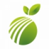 Lime Logo