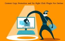 Copy Protect and No Right Click Plugin Osclass Screenshot 1