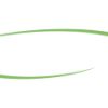 quizbuzz-php-script