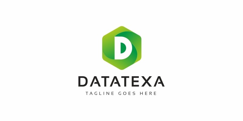 Datatexa D Letter Logo