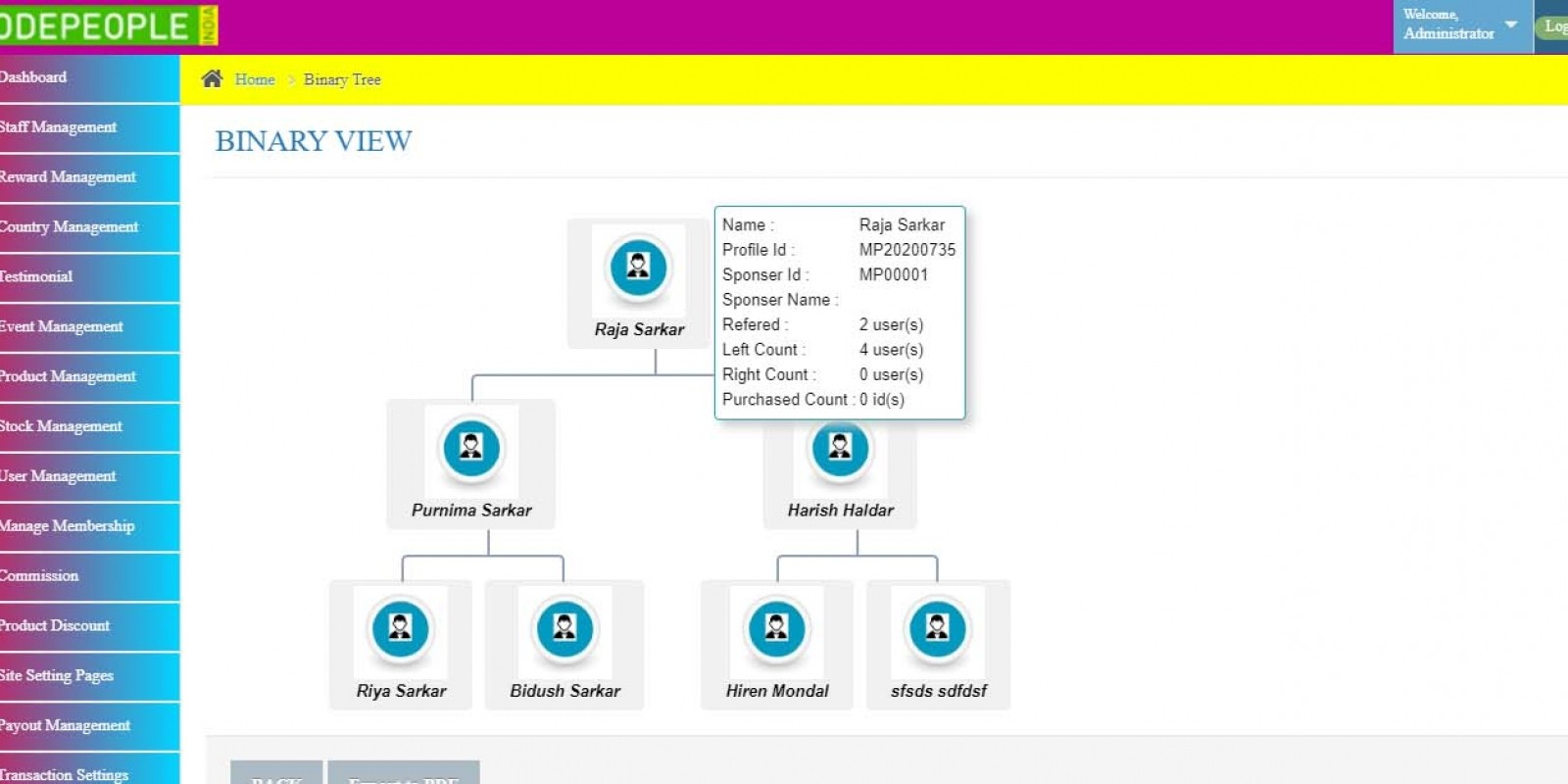 Binary MLM System PHP