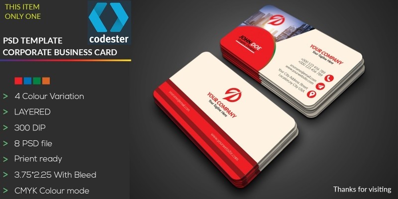 Simple Professional Business Card
