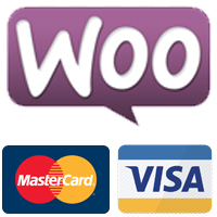 Authorize payment WooCommerce Plugin