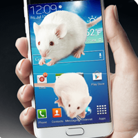 Mouse on Screen Scary Prank - Android App