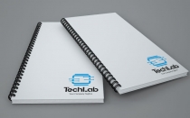 TechLab Logo Screenshot 2