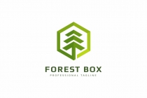 Forest Box Logo Screenshot 1