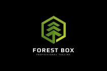Forest Box Logo Screenshot 2