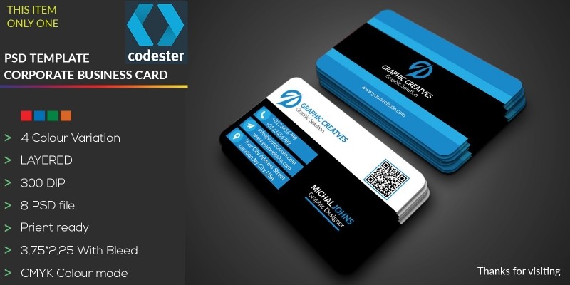 Simple Professional Business Card 