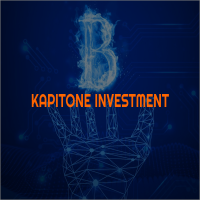 Kapitone Investment Script