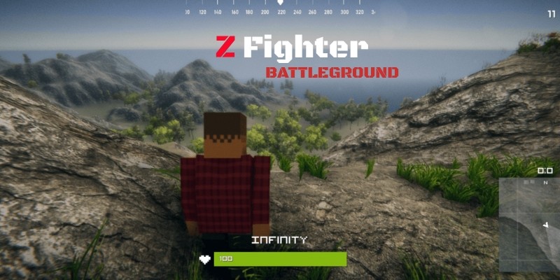 Z Fighter - Battle Royale Unity Source Code