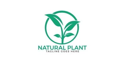 Natural Plant Logo Design