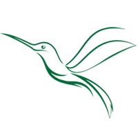 Abstract  Hummingbird Vector Logo