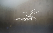 Abstract  Hummingbird Vector Logo Screenshot 2