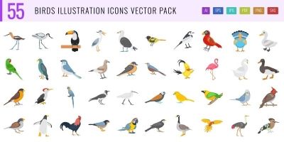 55 Birds Illustration Color Icons Pack