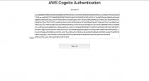 AWS Cognito Authorization For Websites Screenshot 4