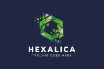 Hexalica Logo Screenshot 2