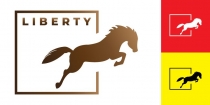 Liberty Logo Template Screenshot 2