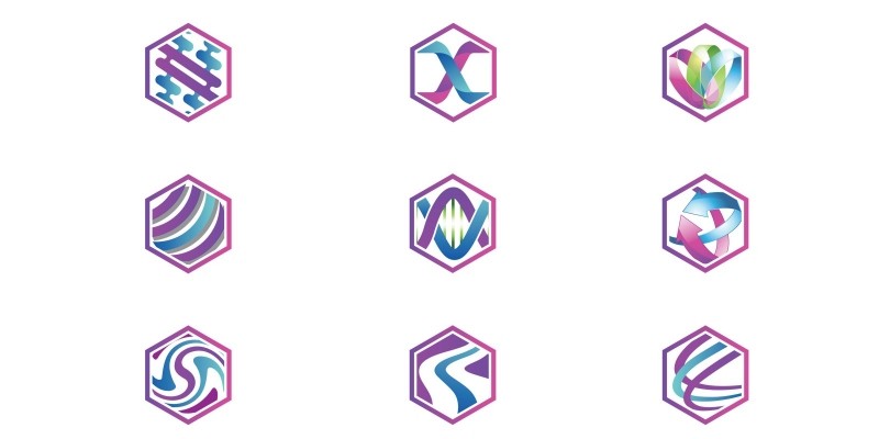 Purple Hexagon Logo Template
