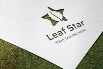 Star Leaf Shape Logo  Screenshot 2