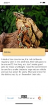 Reptiles And Amphibians - iOS Source Code Screenshot 3