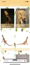 Reptiles And Amphibians - iOS Source Code Screenshot 7