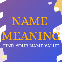 Name Meaning - Android Source Code