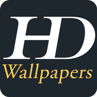 HD Wallpaper - Android Template With Admin Panel