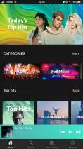 Music Streaming Android And iOS App Template Screenshot 15