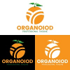 Orange Logo Design Template