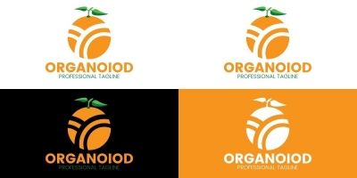 Orange Logo Design Template