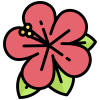 Flower Delivery - Android App Source Code