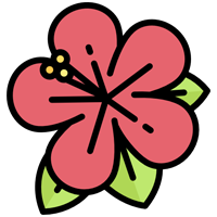 Flower Delivery - Android App Source Code