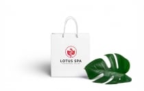 Lotus Spa Logo Screenshot 2