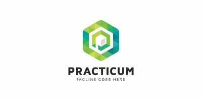 Practicum P Letter Logo