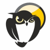 Smart Owl Logo