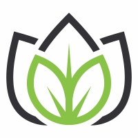 Eco Leaves Logo