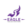 Eagle Bird Logo Abstract Design