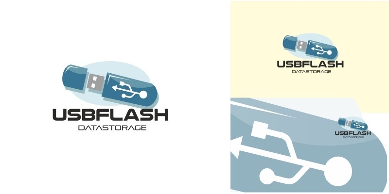 Usb Flash Logo