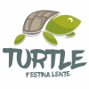 Turtle Logo