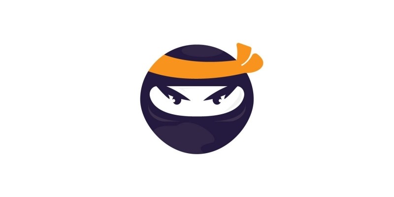 Ninja Character Vector Design