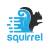 Squirrel Logo Design.