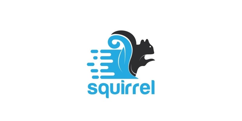 Squirrel Logo Design.