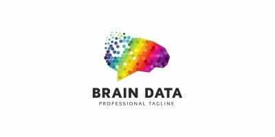 Brain Data Logo